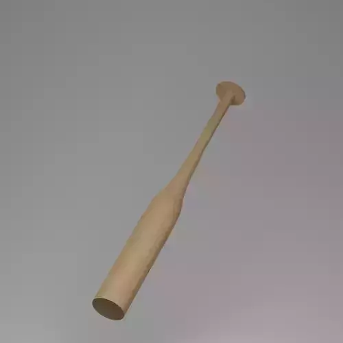 Baseball Bat