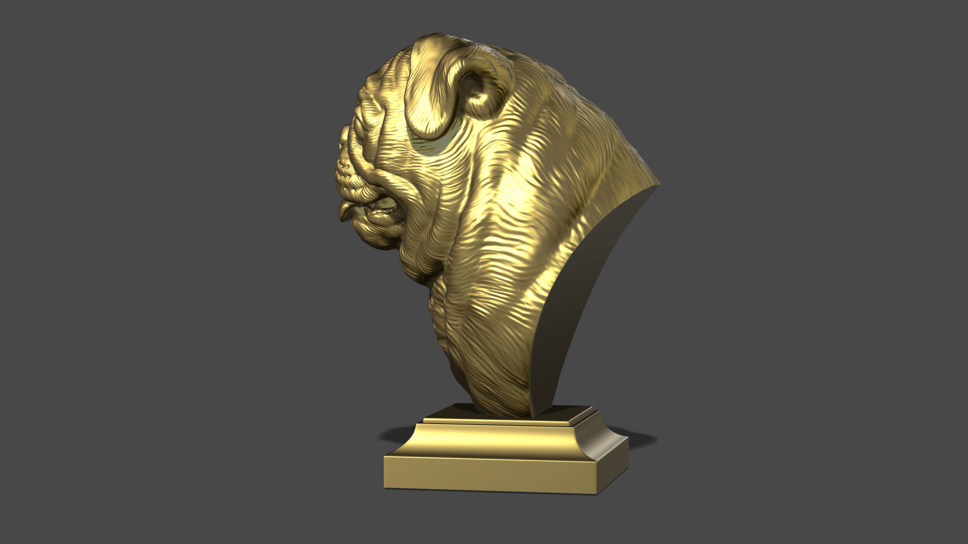 Pug bust version 1 3D print model_20