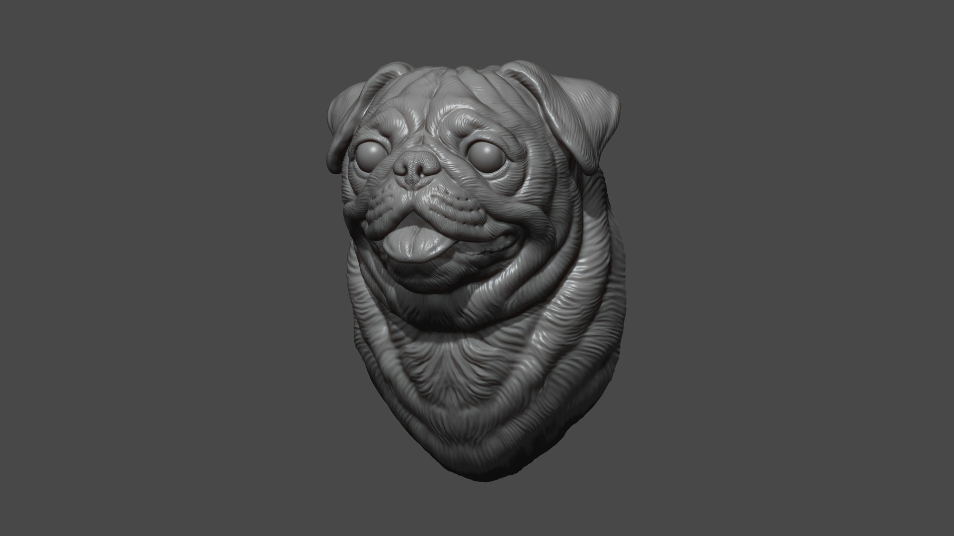 Pug bust version 1 3D print model_6
