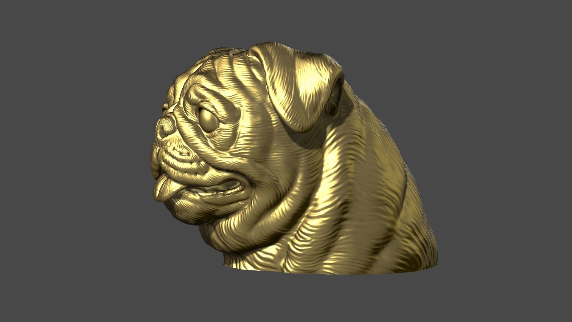 Pug bust version 1 3D print model_14