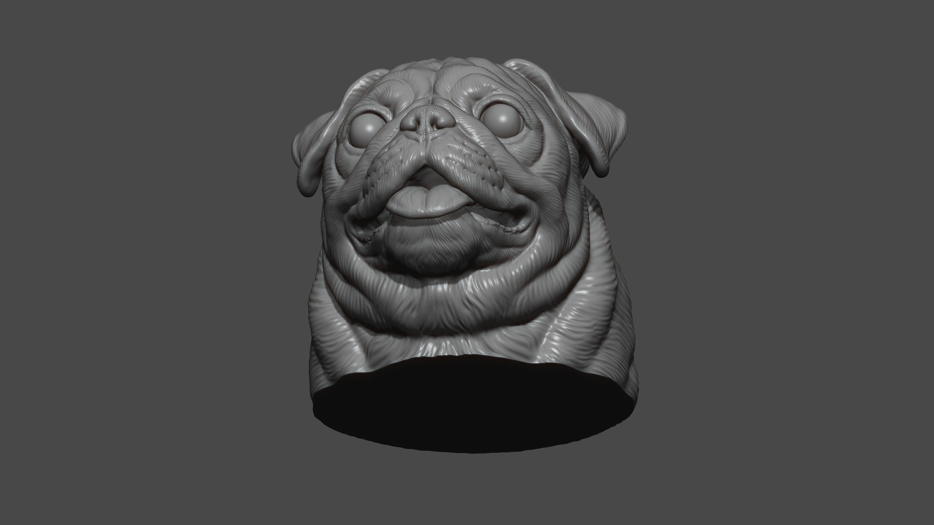 Pug bust version 1 3D print model_11
