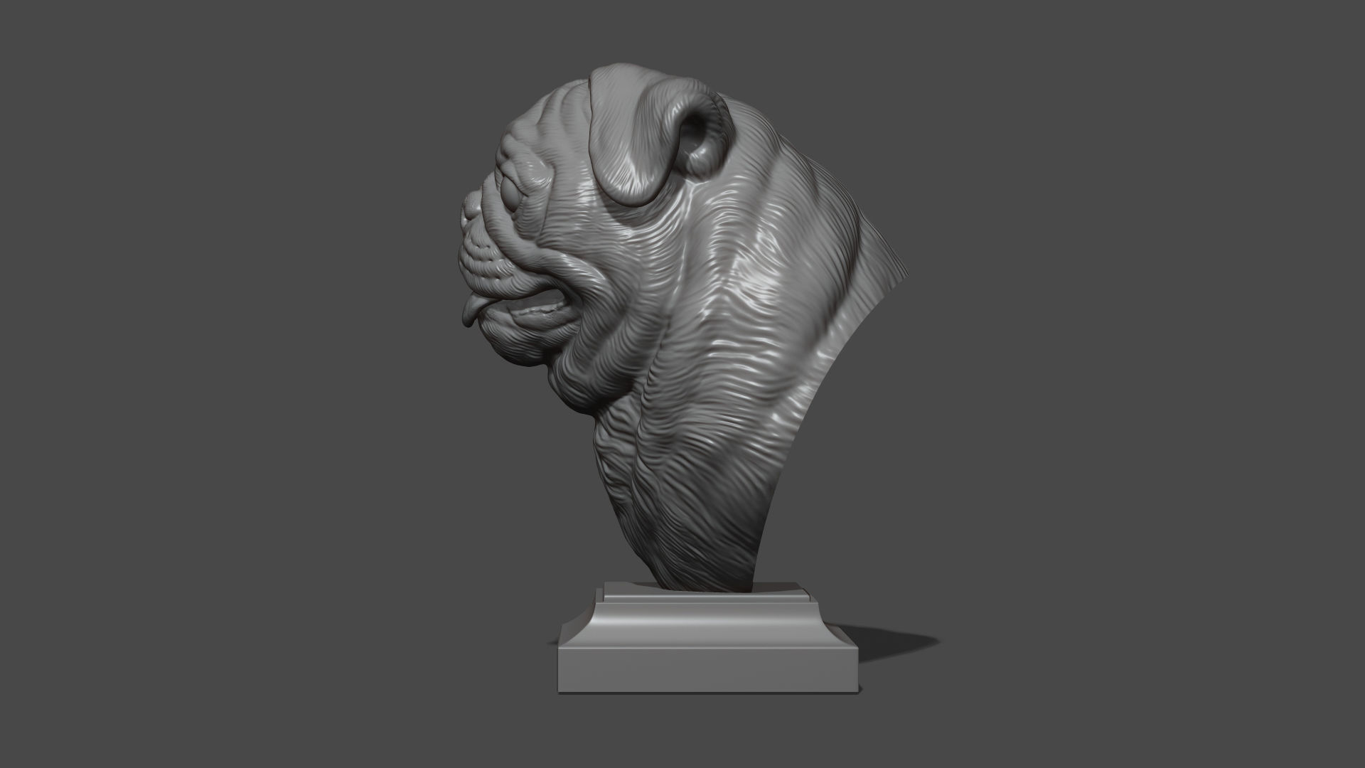 Pug bust version 1 3D print model_17