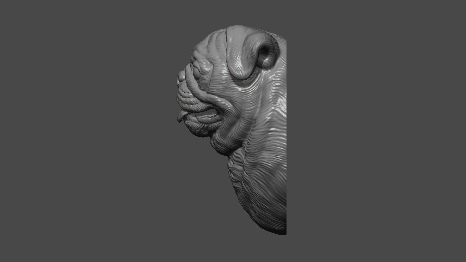 Pug bust version 1 3D print model_7