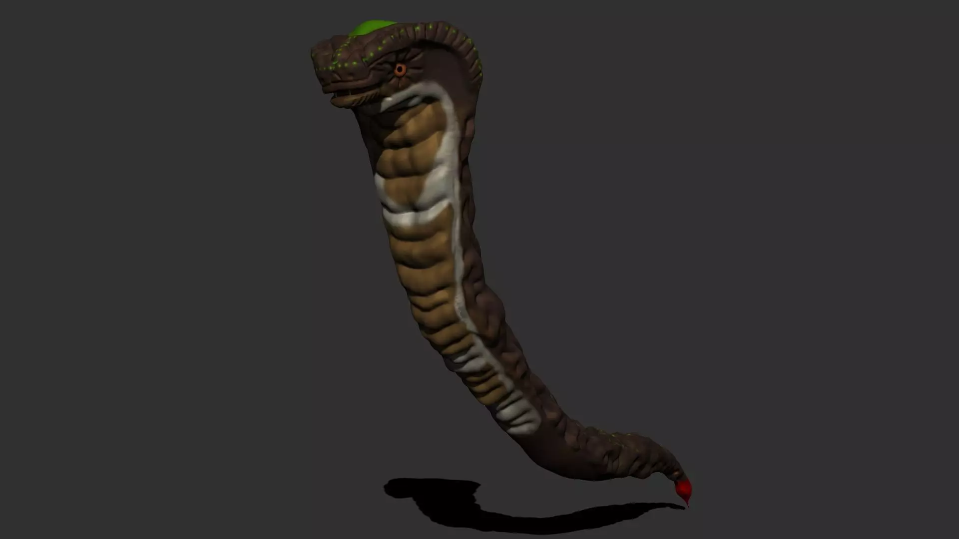 Cartoon snake Low-poly 3D model_0