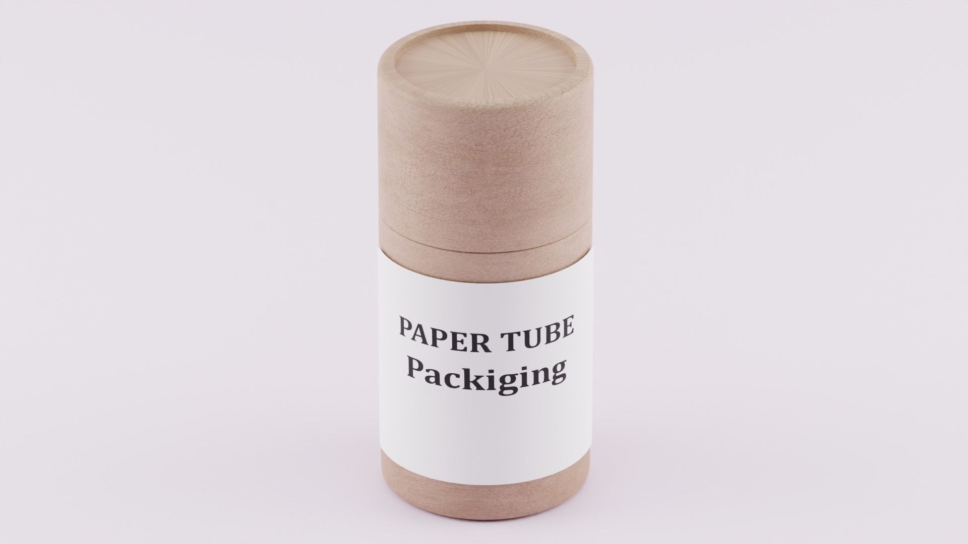 Paper Tube 3D model_1