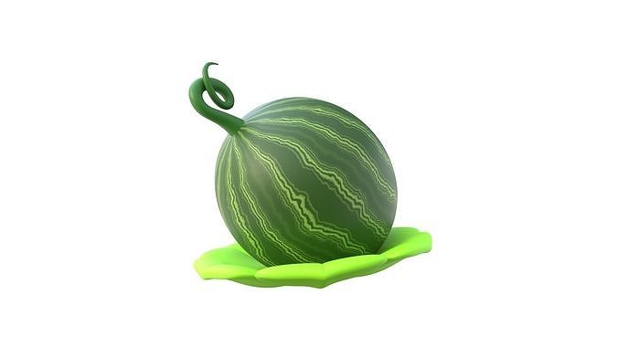 Watermelon 3D model 6