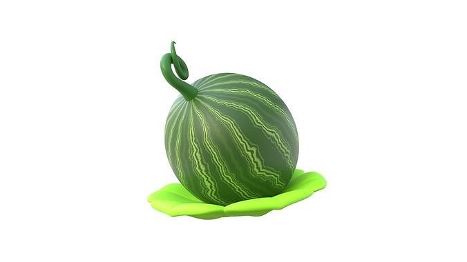 Watermelon 3D model 5