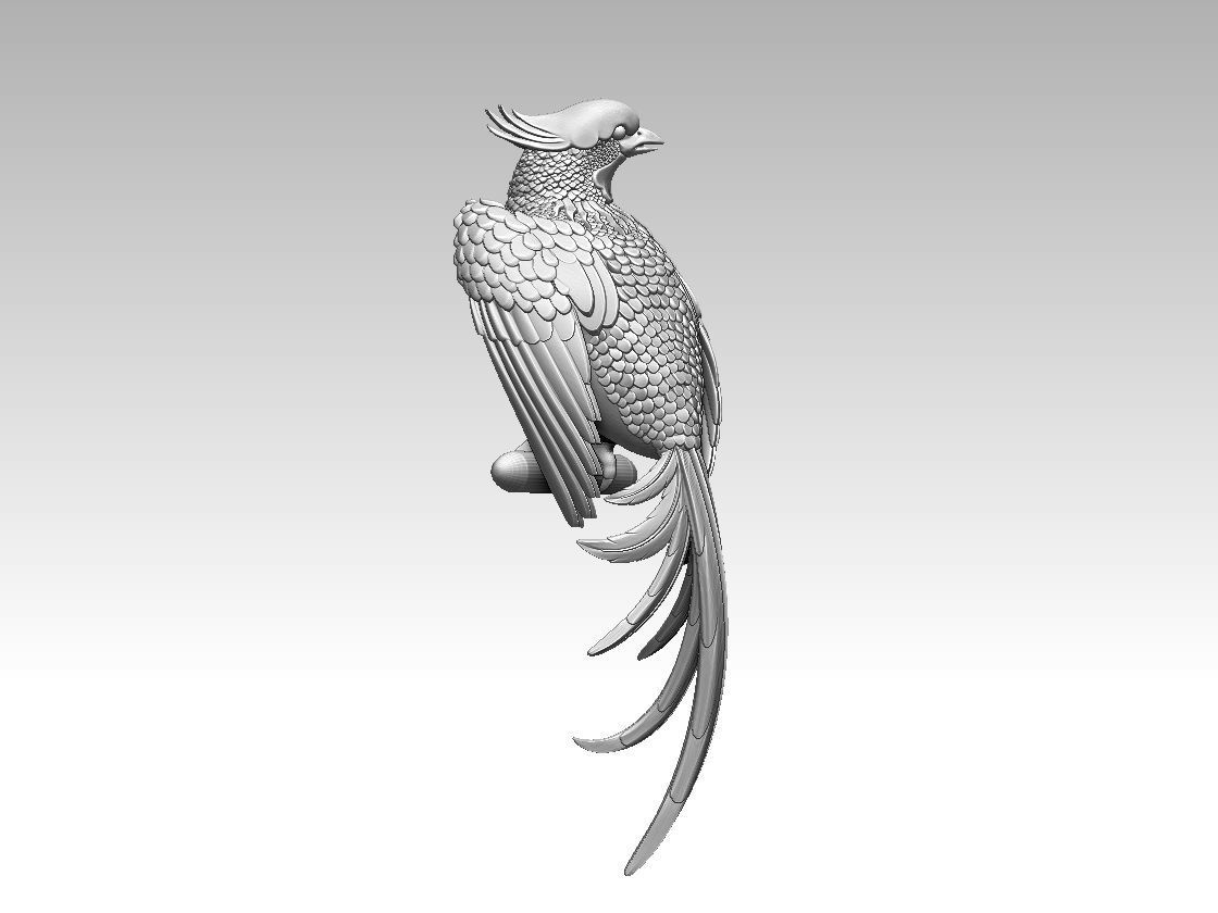 bird parrot 3D print model_21
