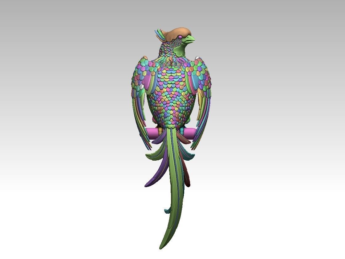 bird parrot 3D print model_12