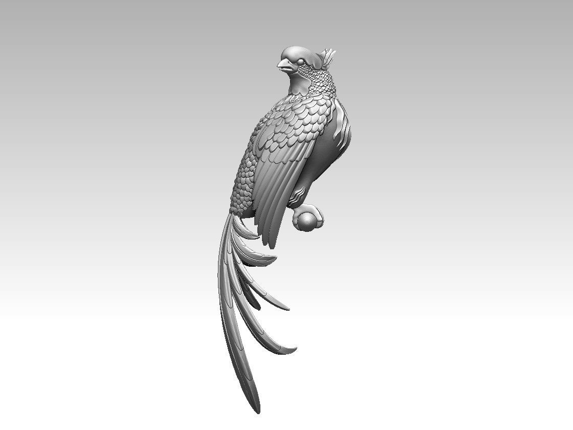 bird parrot 3D print model_8