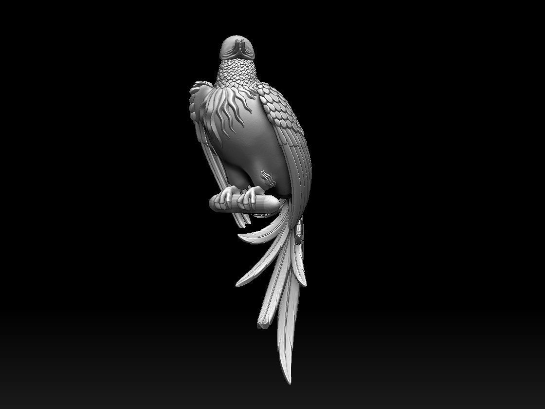 bird parrot 3D print model_4