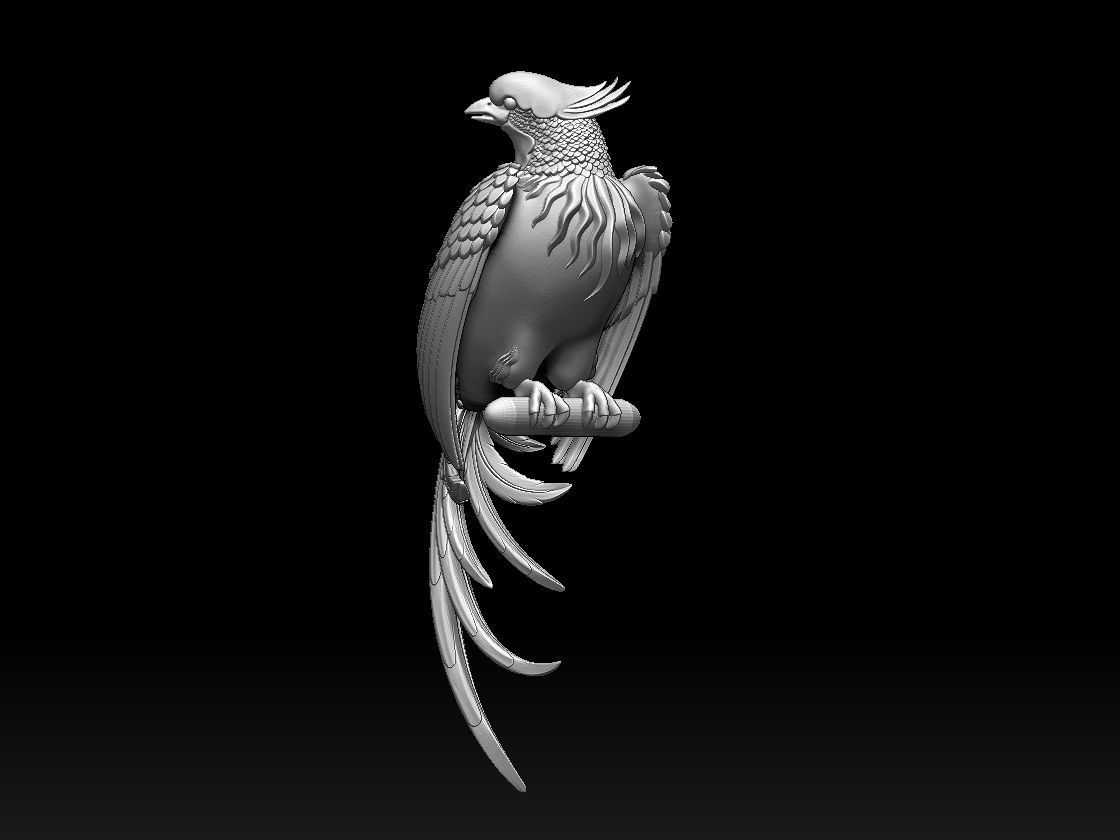 bird parrot 3D print model_66