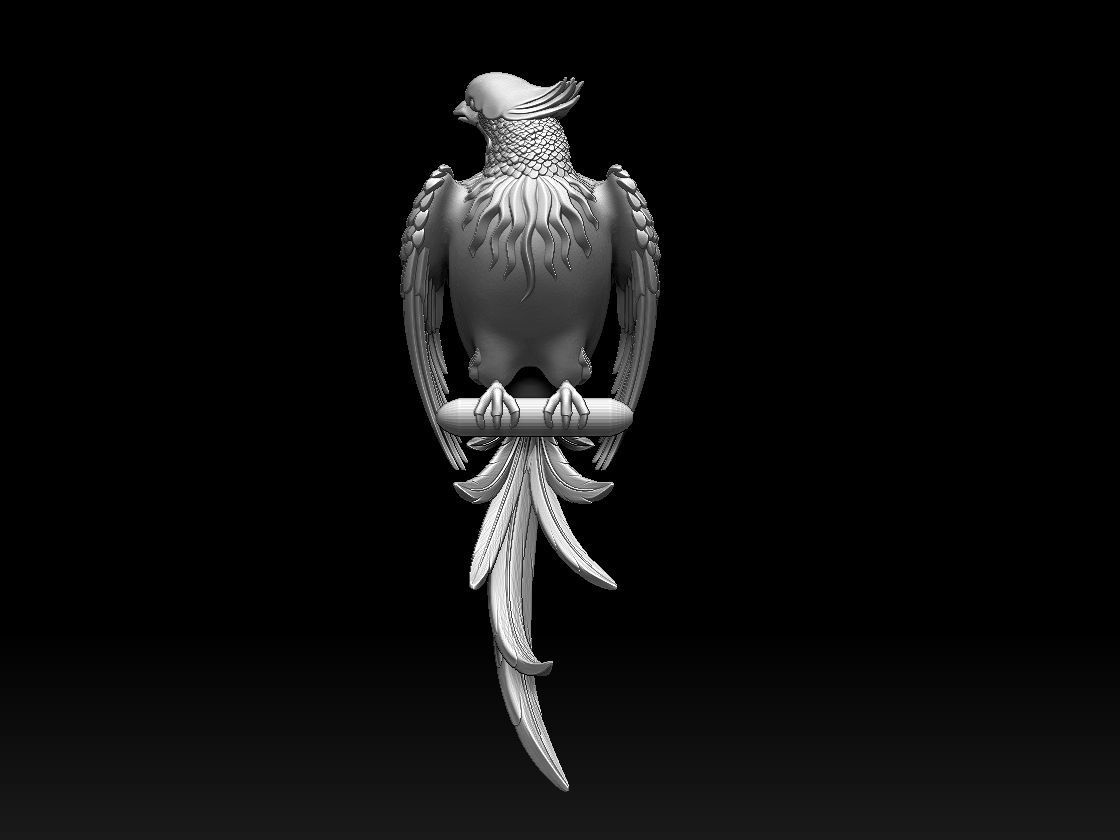bird parrot 3D print model_64