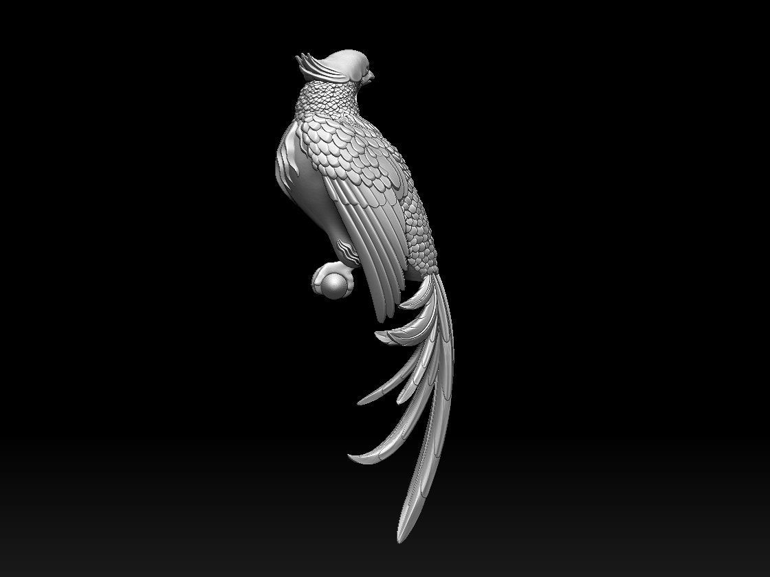 bird parrot 3D print model_31