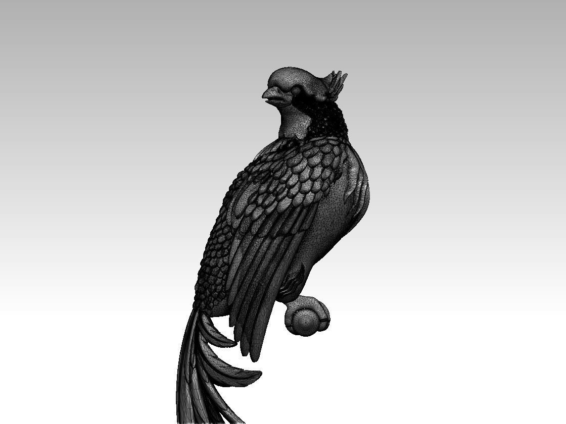 bird parrot 3D print model_63