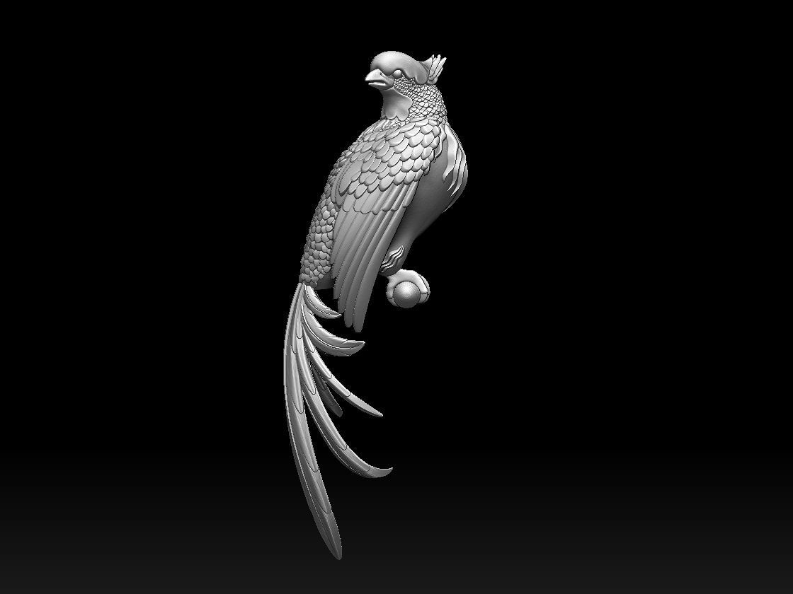 bird parrot 3D print model_35