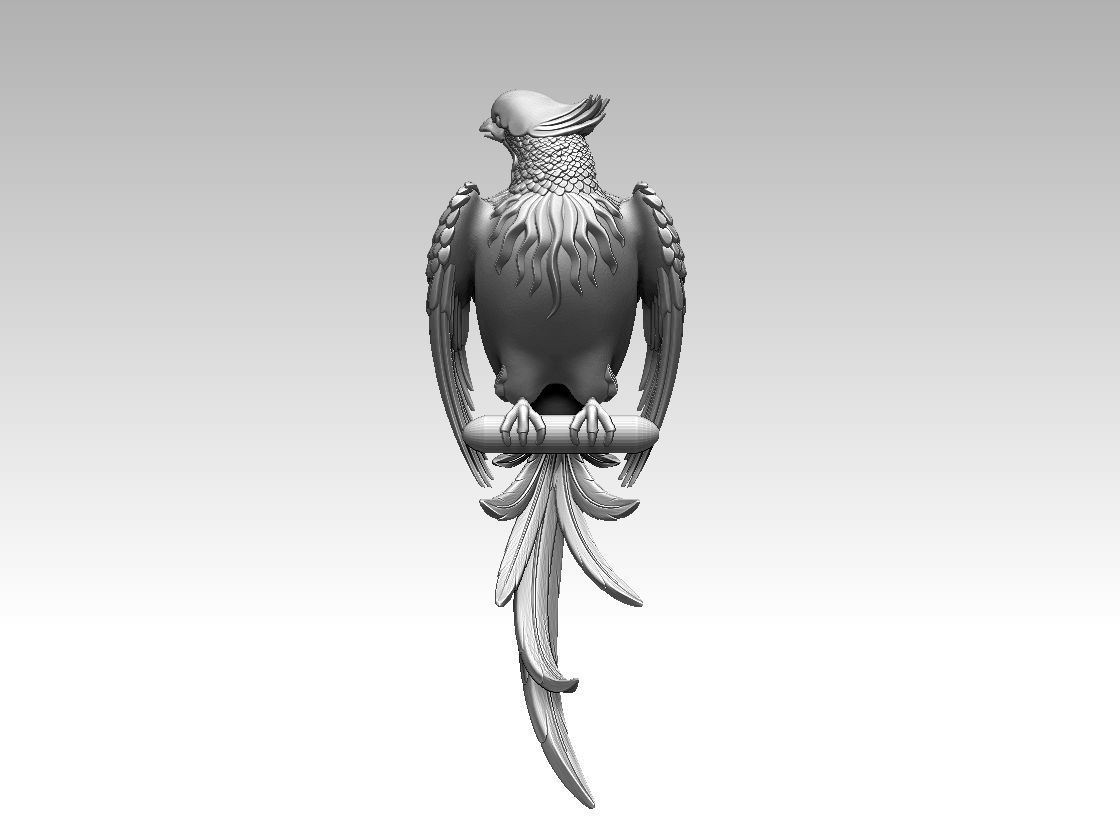 bird parrot 3D print model_46