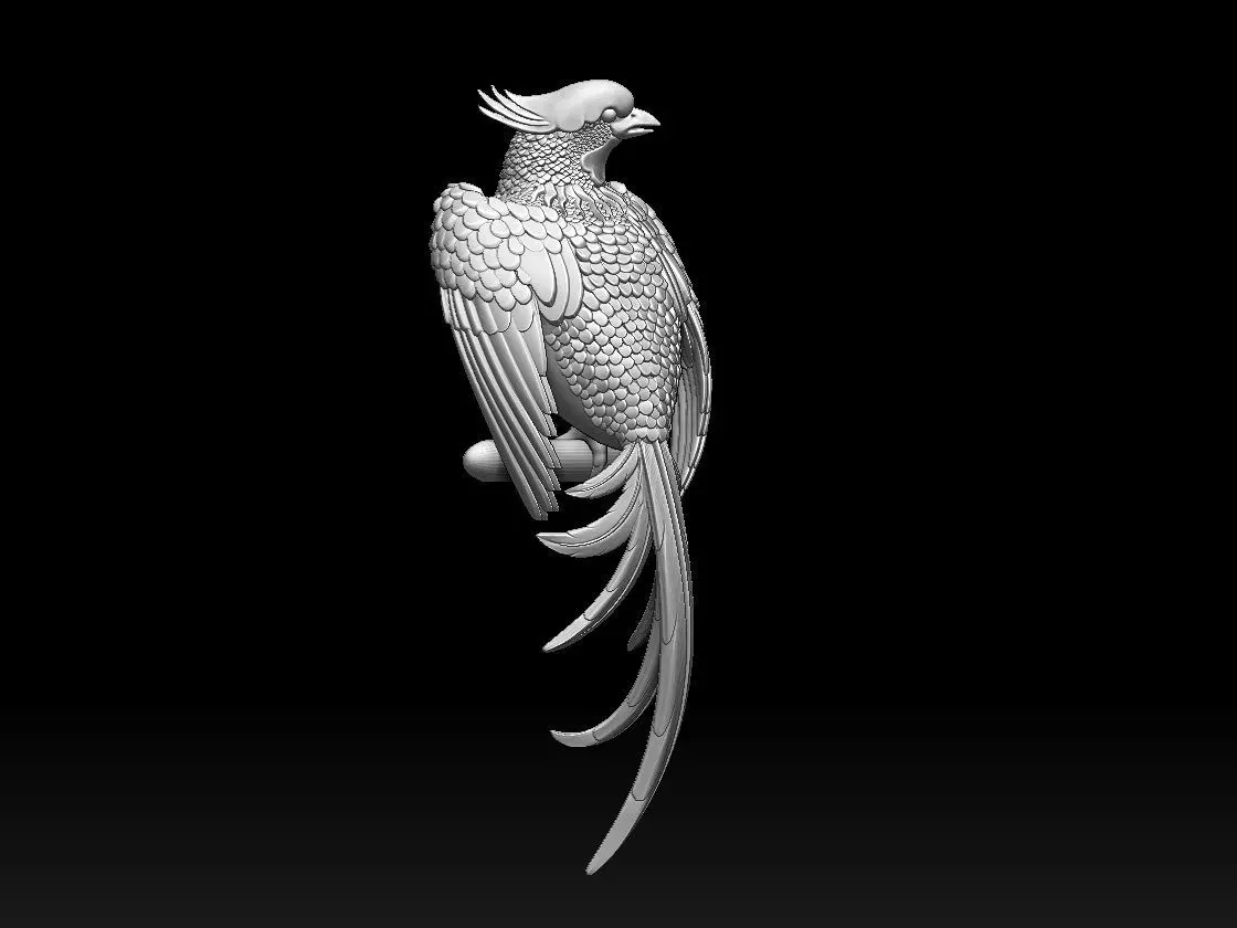 bird parrot 3D print model_0