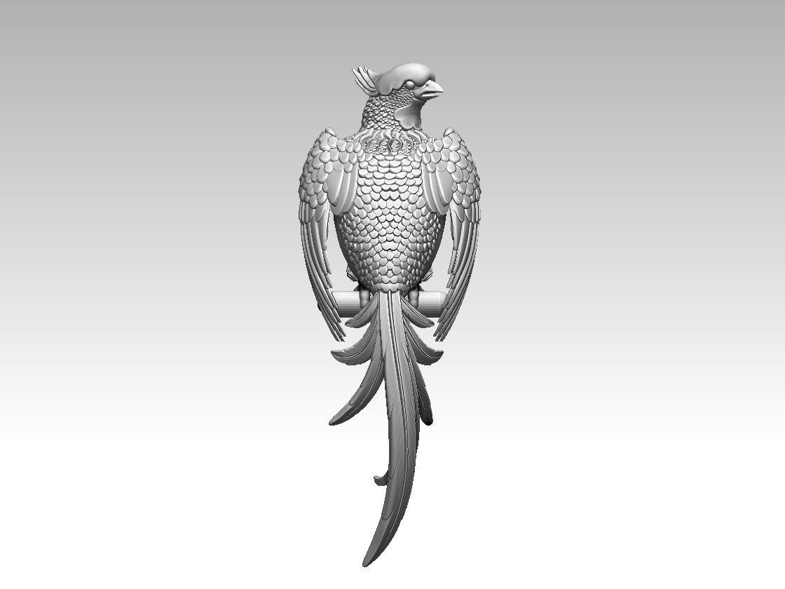 bird parrot 3D print model_55