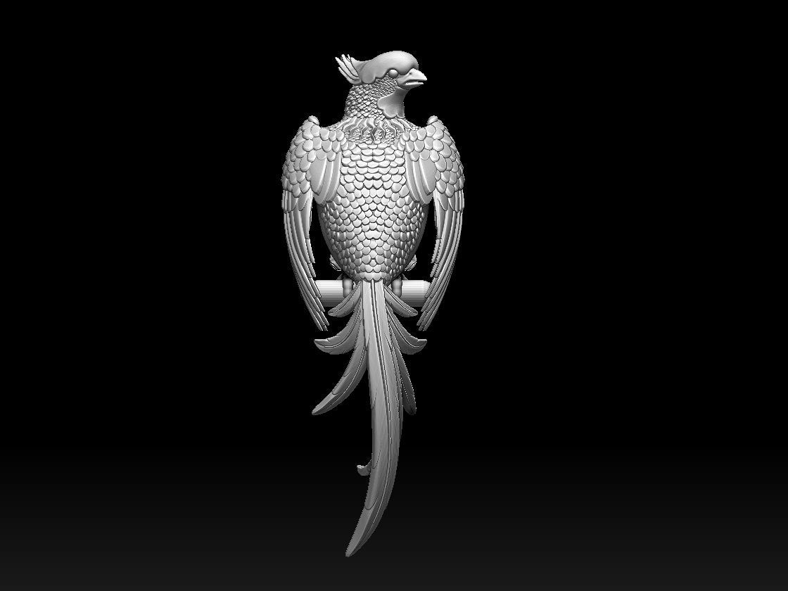 bird parrot 3D print model_16