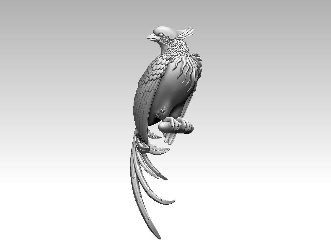 bird parrot 3D print model_50