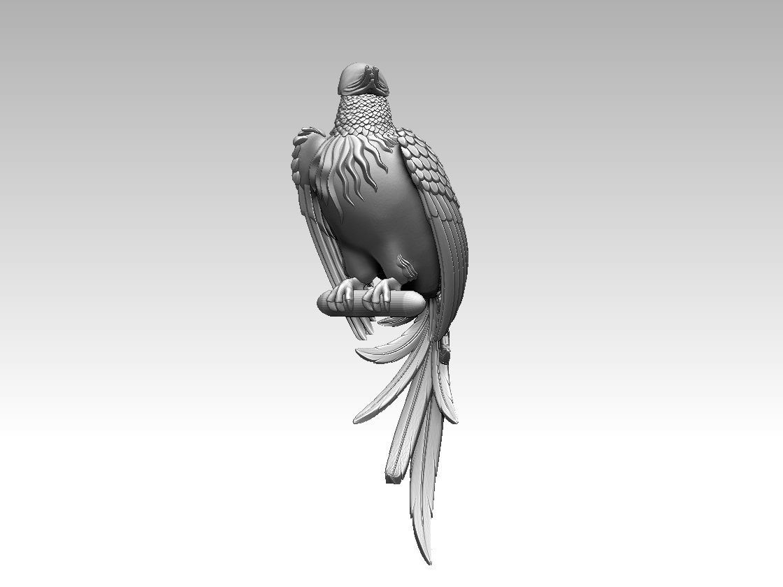 bird parrot 3D print model_40