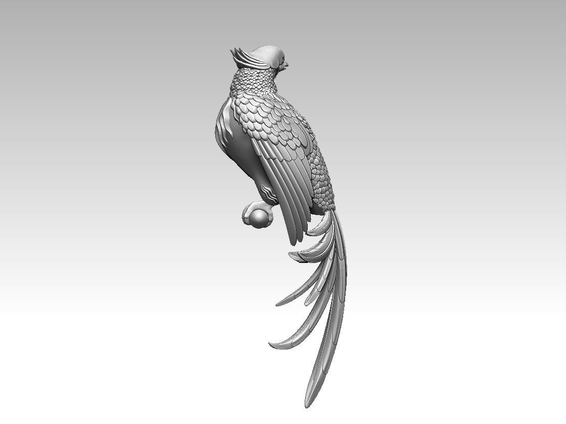bird parrot 3D print model_54