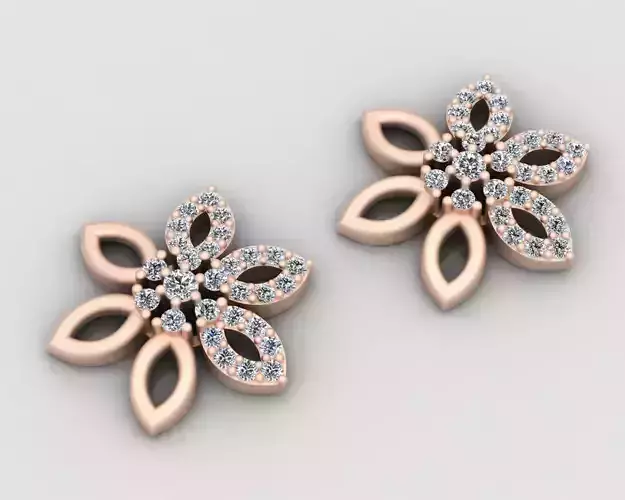 Beautiful Earrings with round diamond