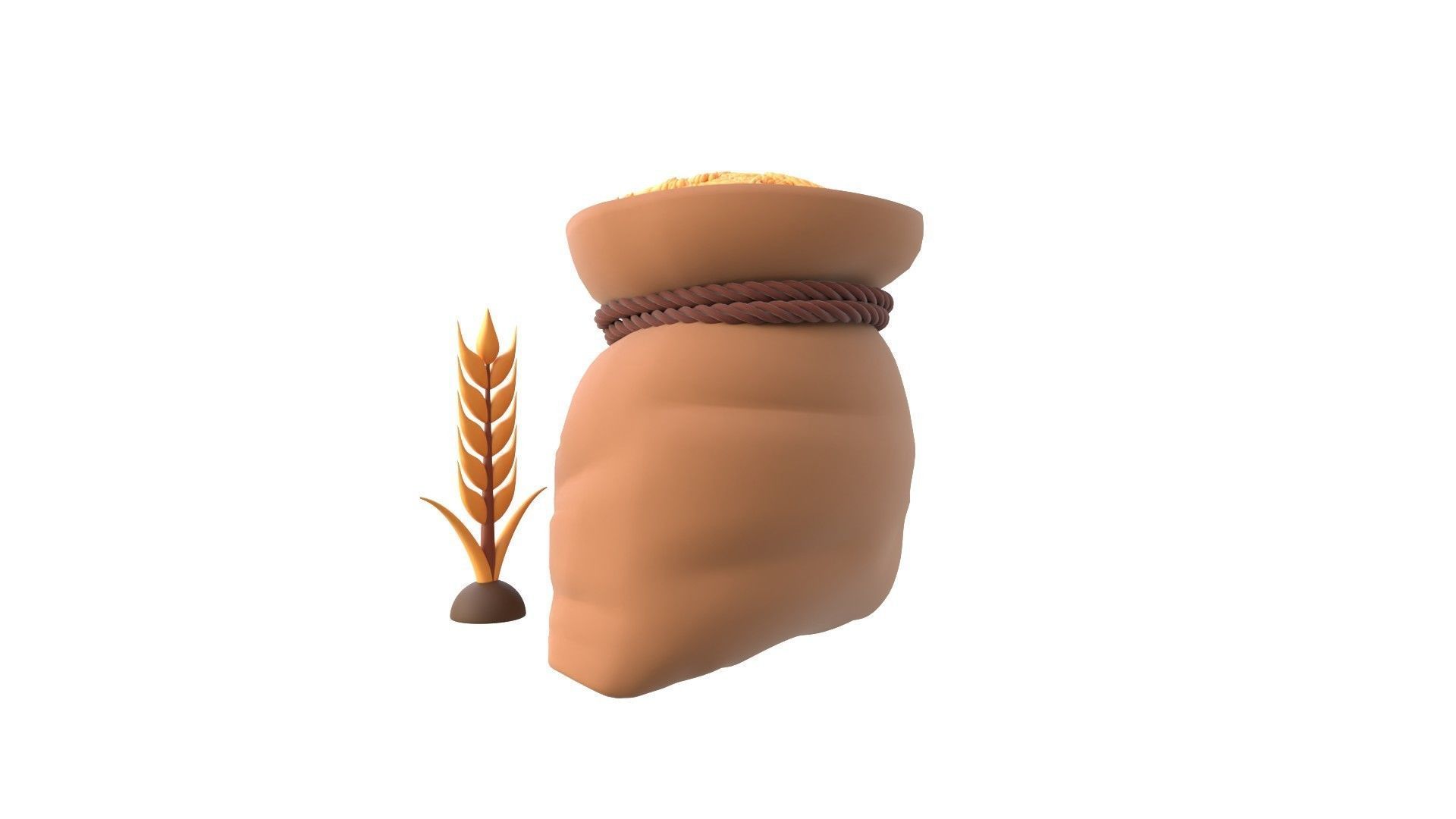 Wheat 3D model_6