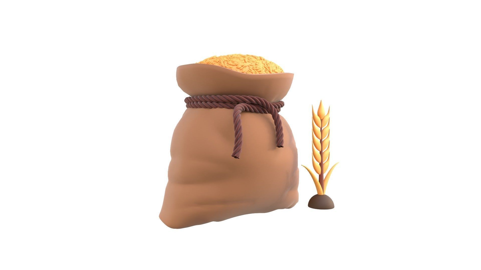 Wheat 3D model_17