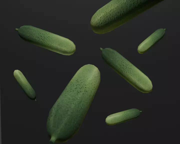 Cucumber 3D model hand painted texture Free low-poly 3D model