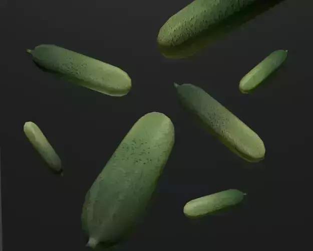 Cucumber 3D model hand painted texture