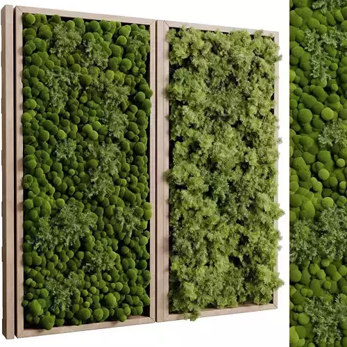 wooden frame Vertical plant and moss garden wall decor box 89