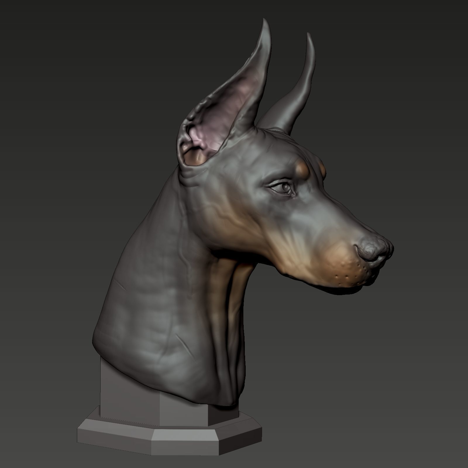 Doberman Pinscher Bust 3D print model_3
