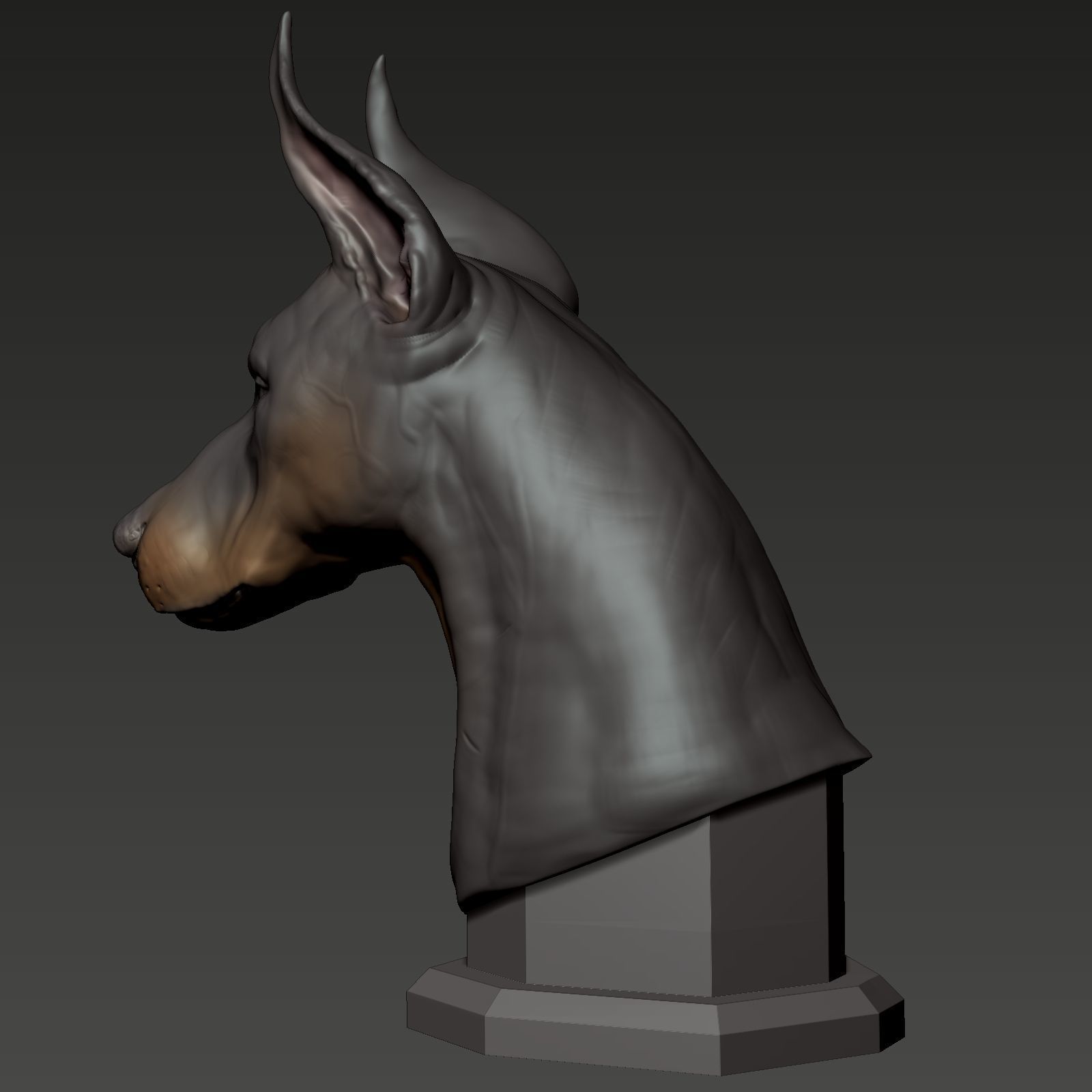 Doberman Pinscher Bust 3D print model_6