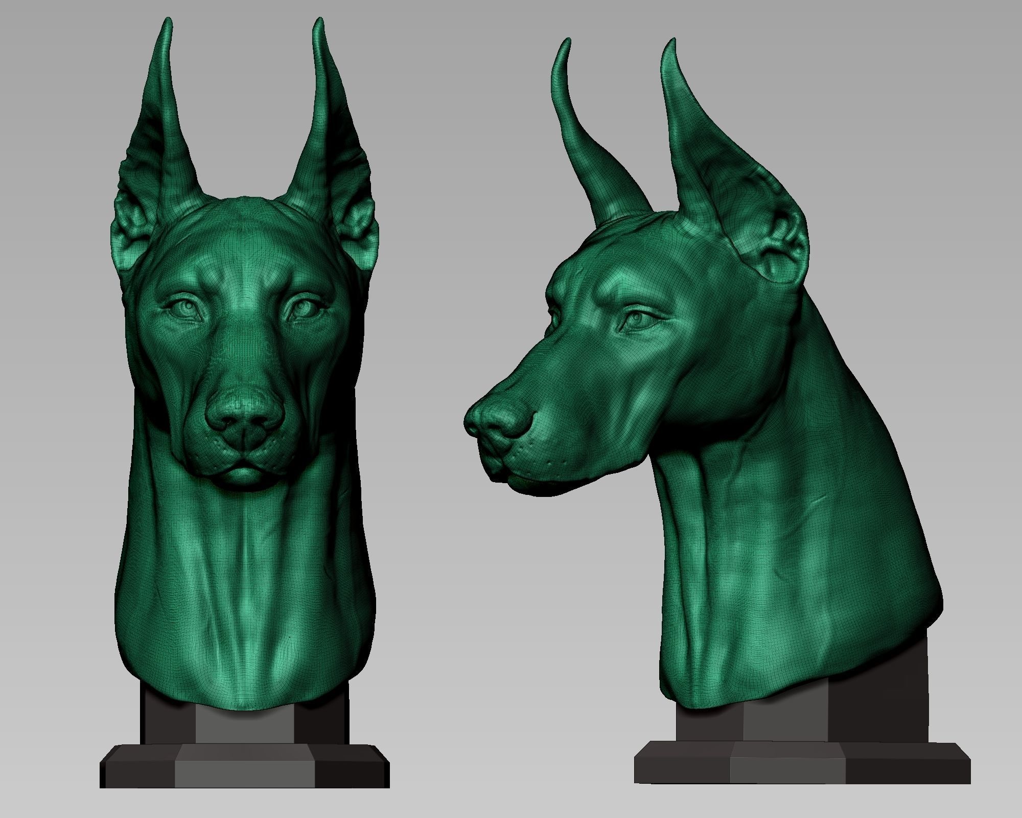 Doberman Pinscher Bust 3D print model_10
