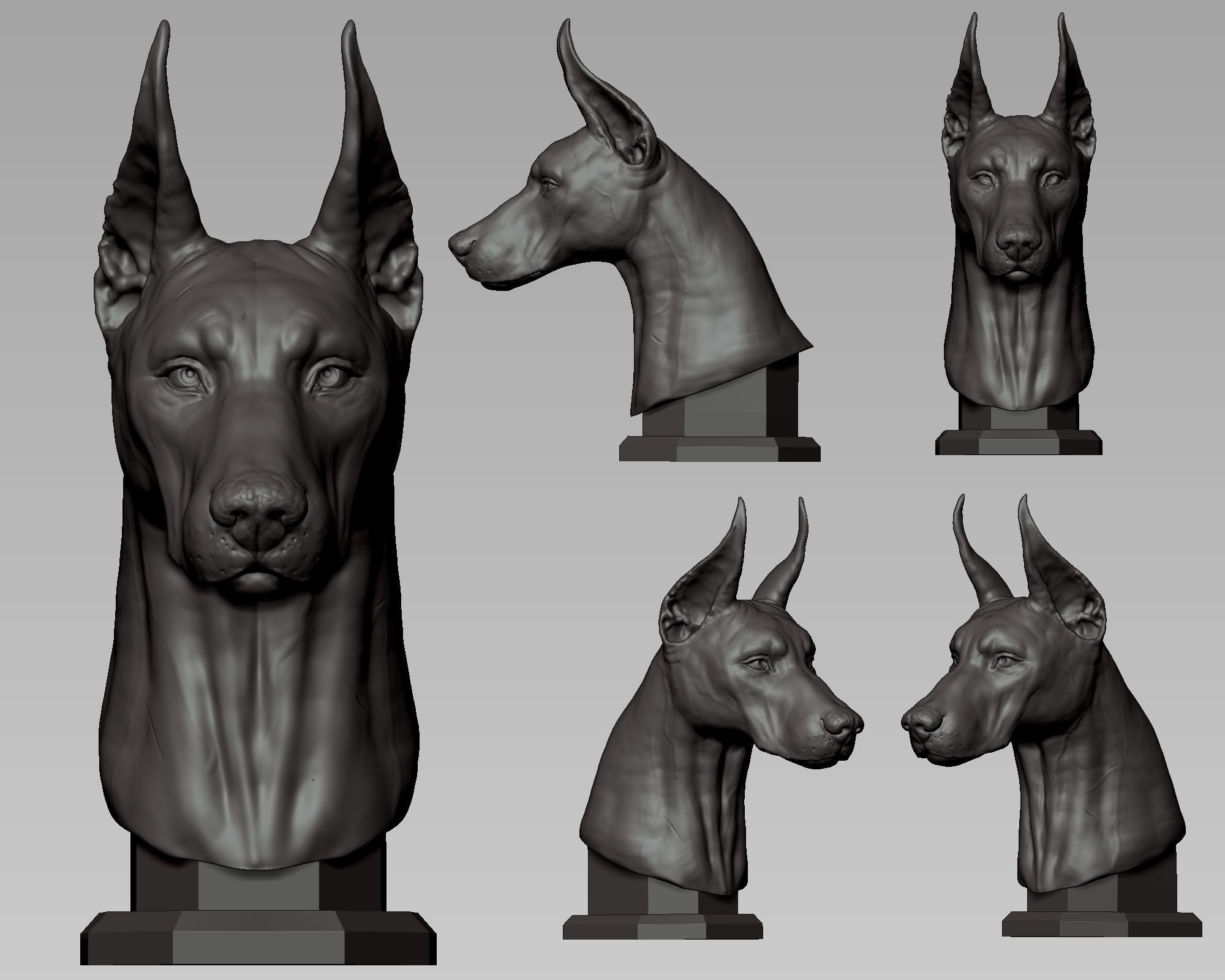 Doberman Pinscher Bust 3D print model_11