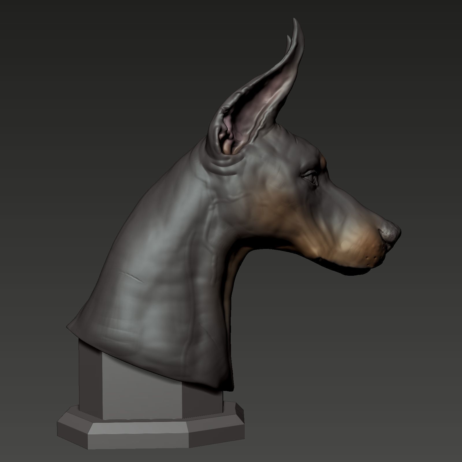 Doberman Pinscher Bust 3D print model_4