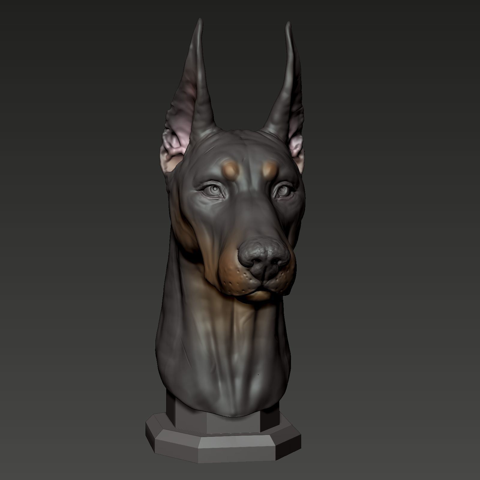 Doberman Pinscher Bust 3D print model_2