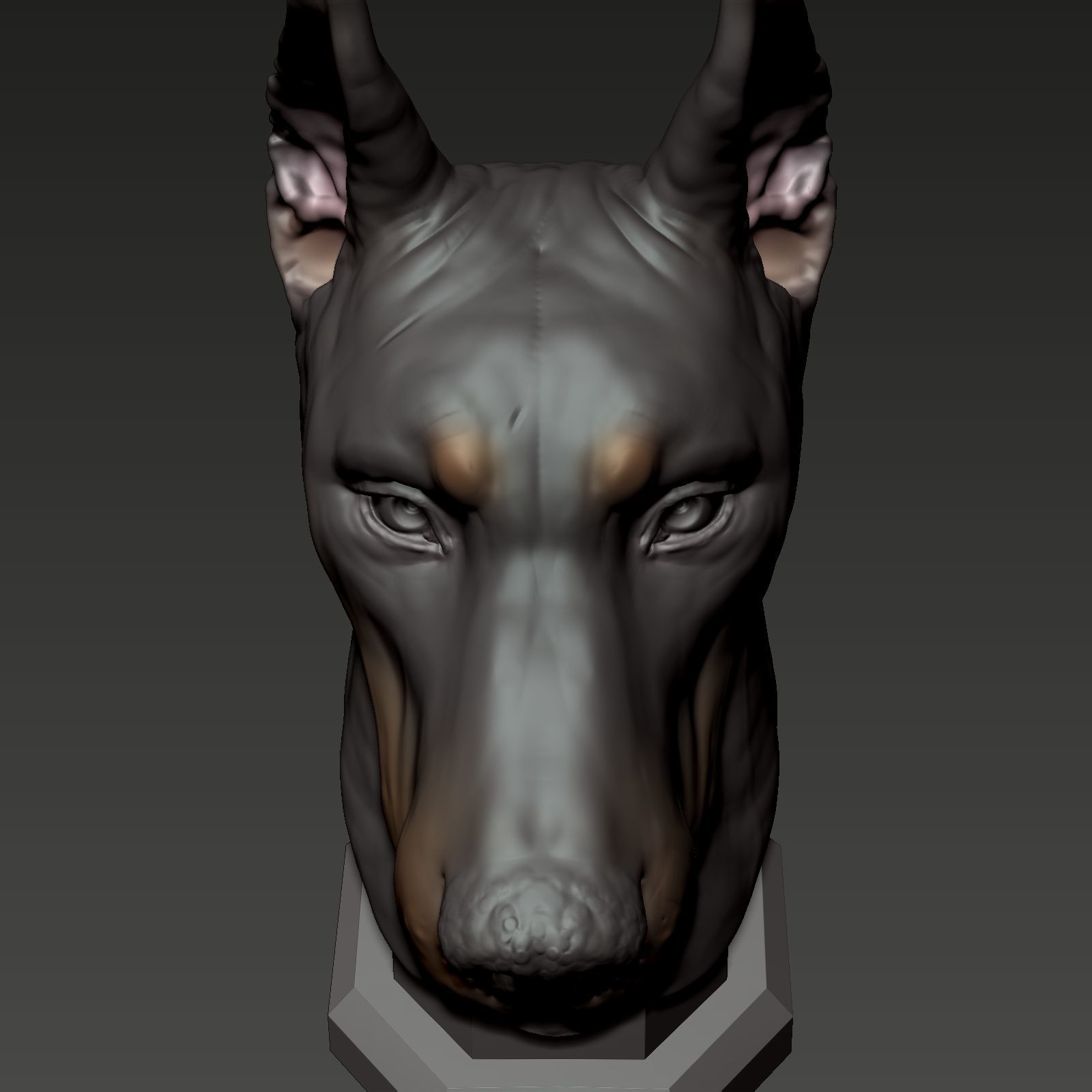 Doberman Pinscher Bust 3D print model_9