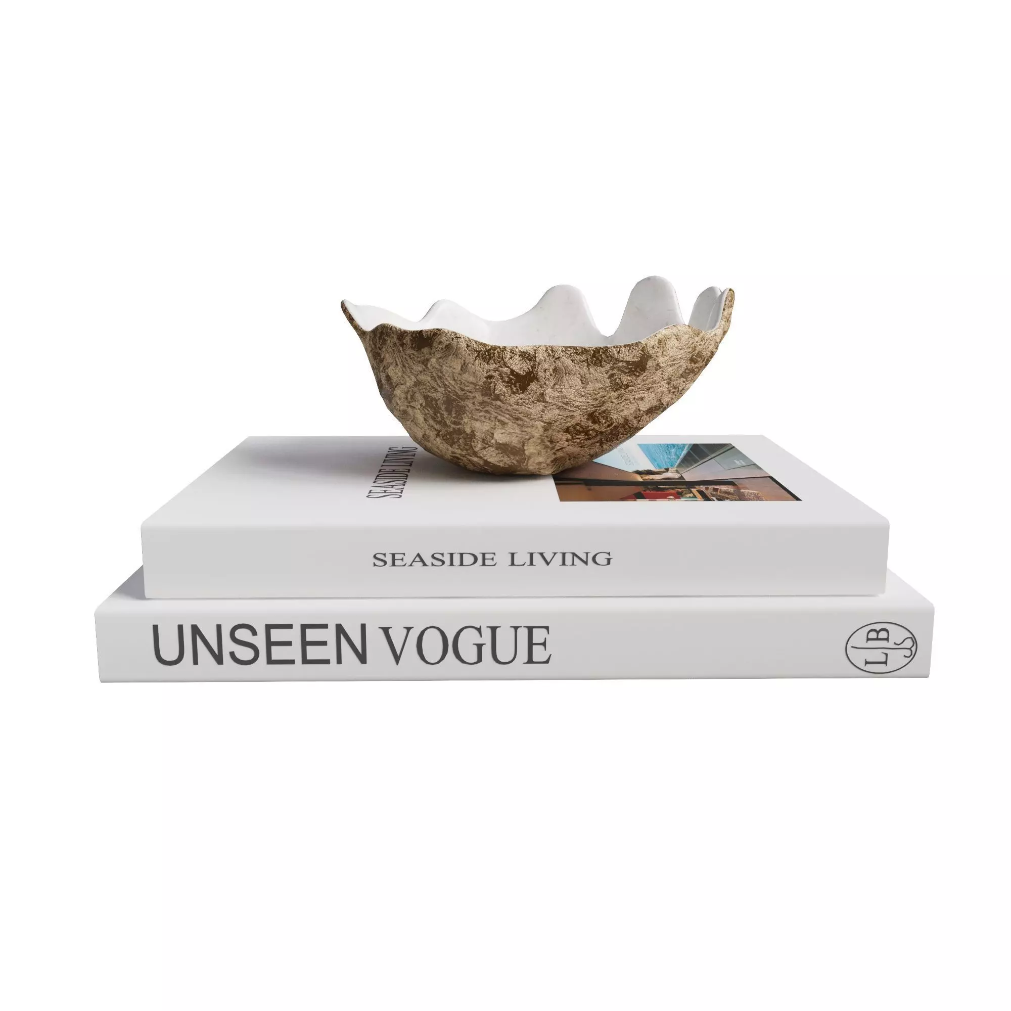 Oceanic sea bowl urchin books decor set 3D model