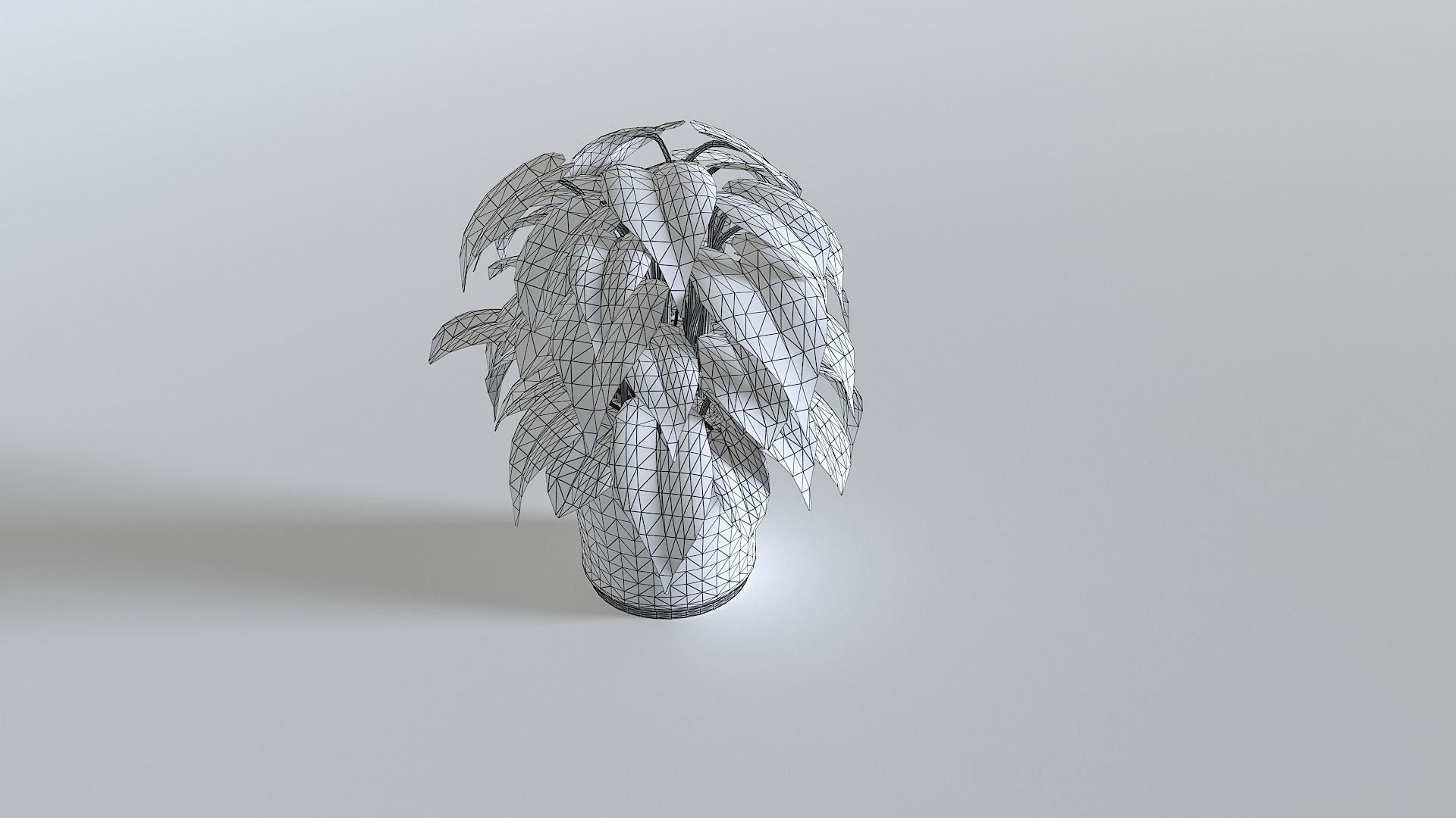 Pot Tropical Plant 3 Low-poly 3D model_7