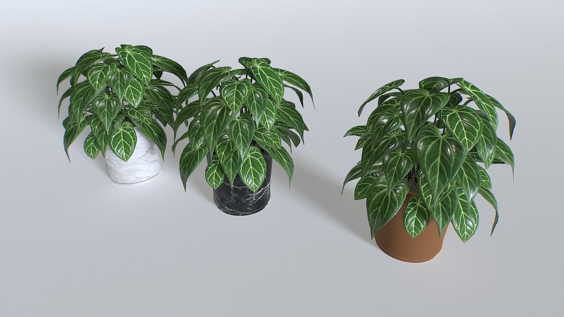 Pot Tropical Plant 3 Low-poly 3D model_1
