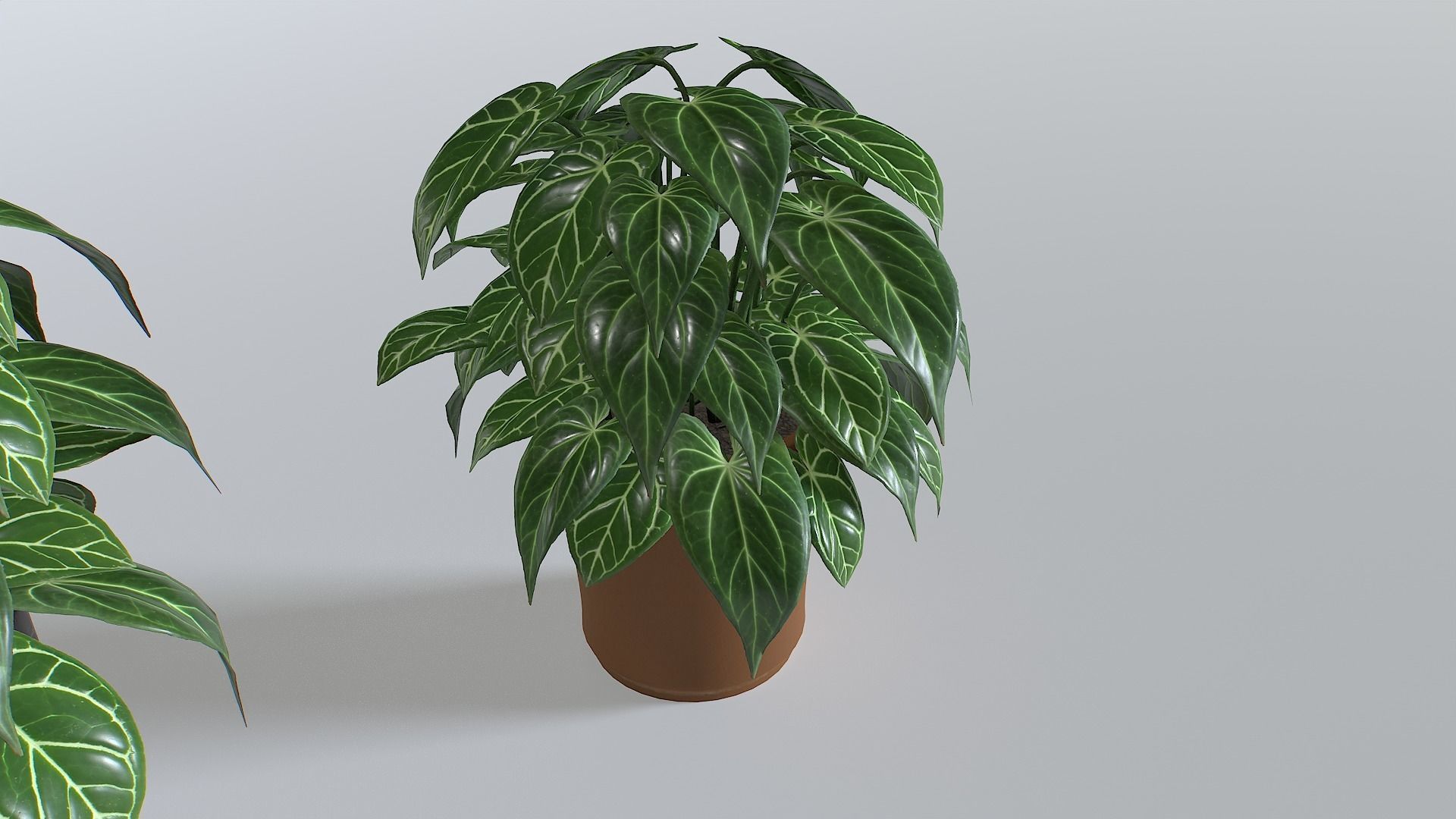 Pot Tropical Plant 3 Low-poly 3D model_4