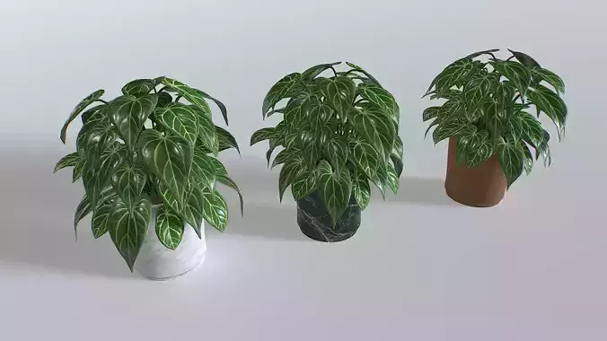 Pot Tropical Plant 3 Low-poly 3D model