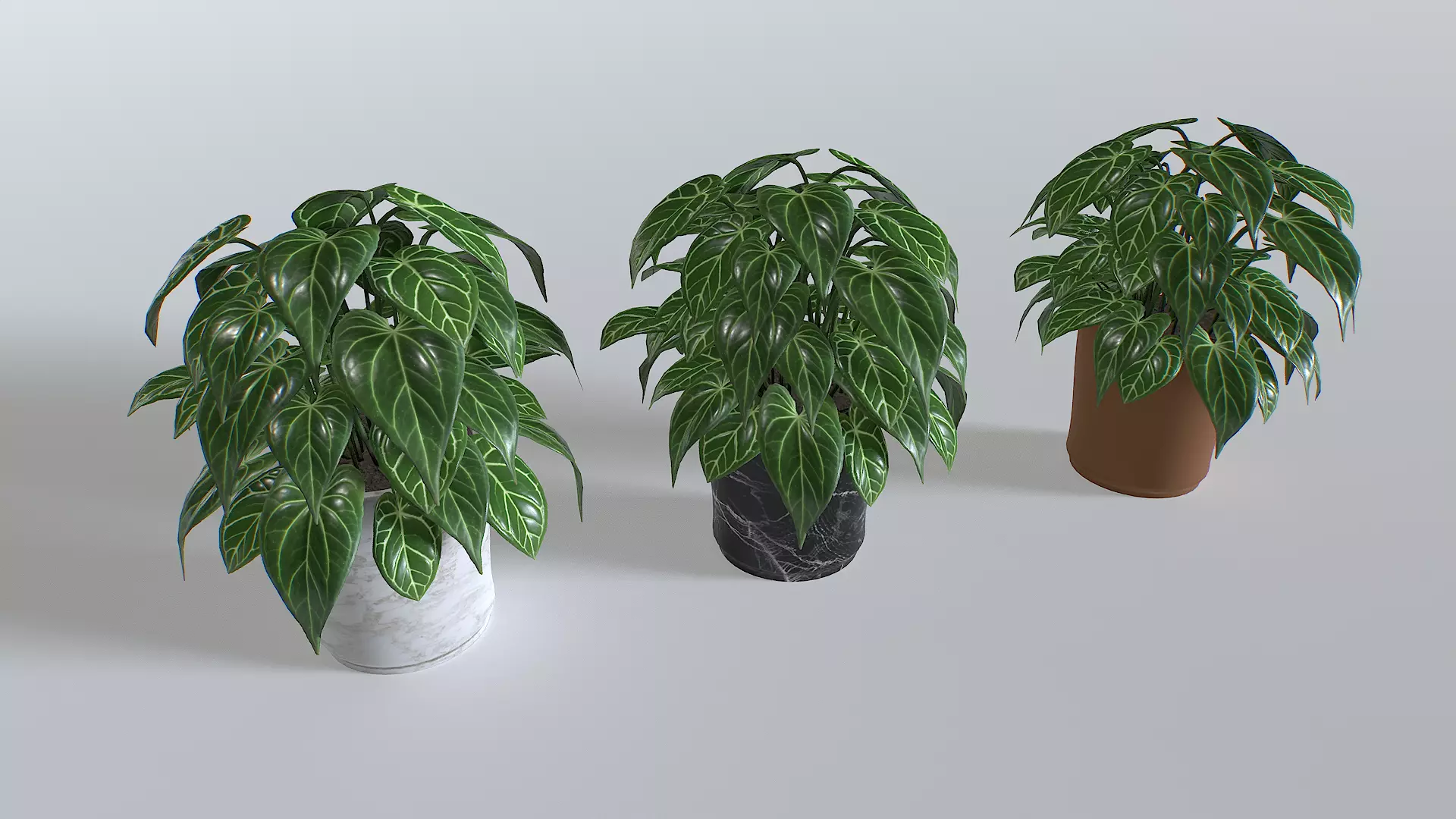 Pot Tropical Plant 3 Low-poly 3D model_0