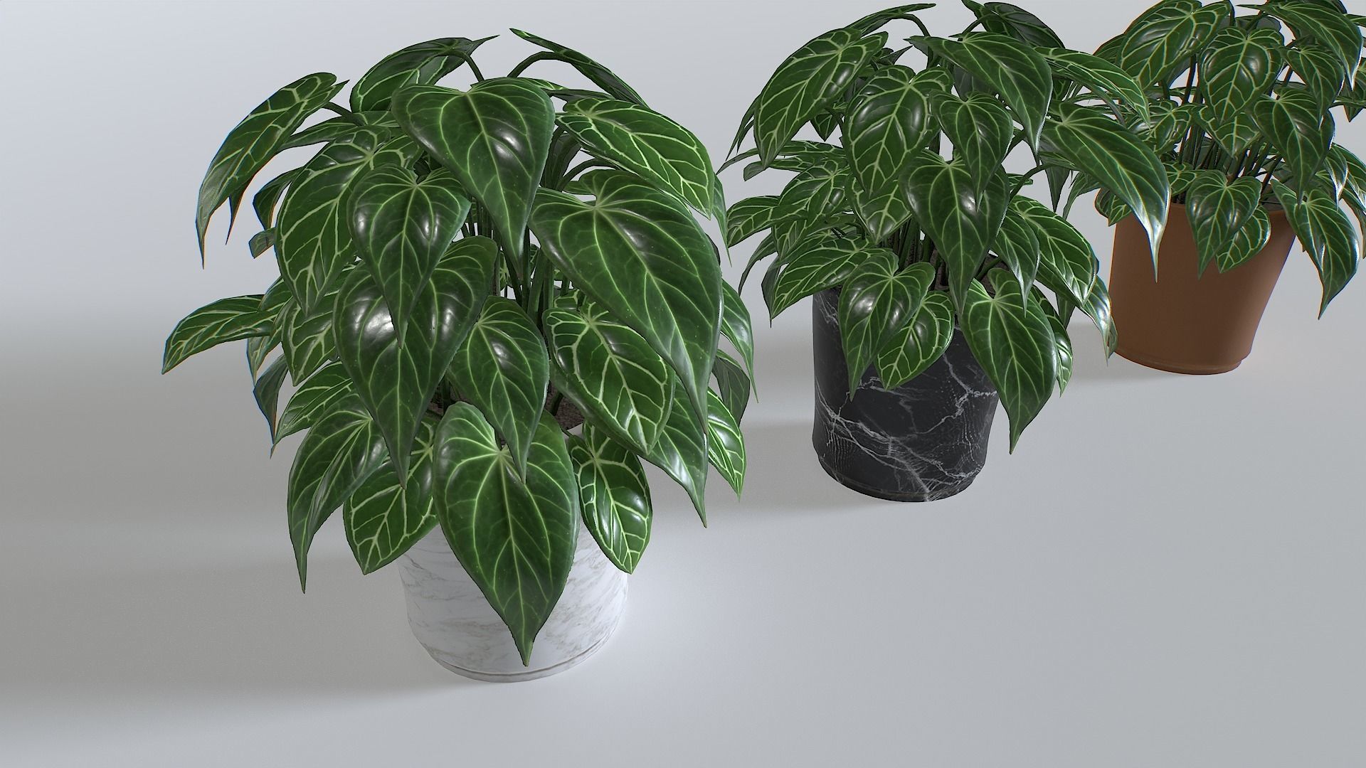 Pot Tropical Plant 3 Low-poly 3D model_2