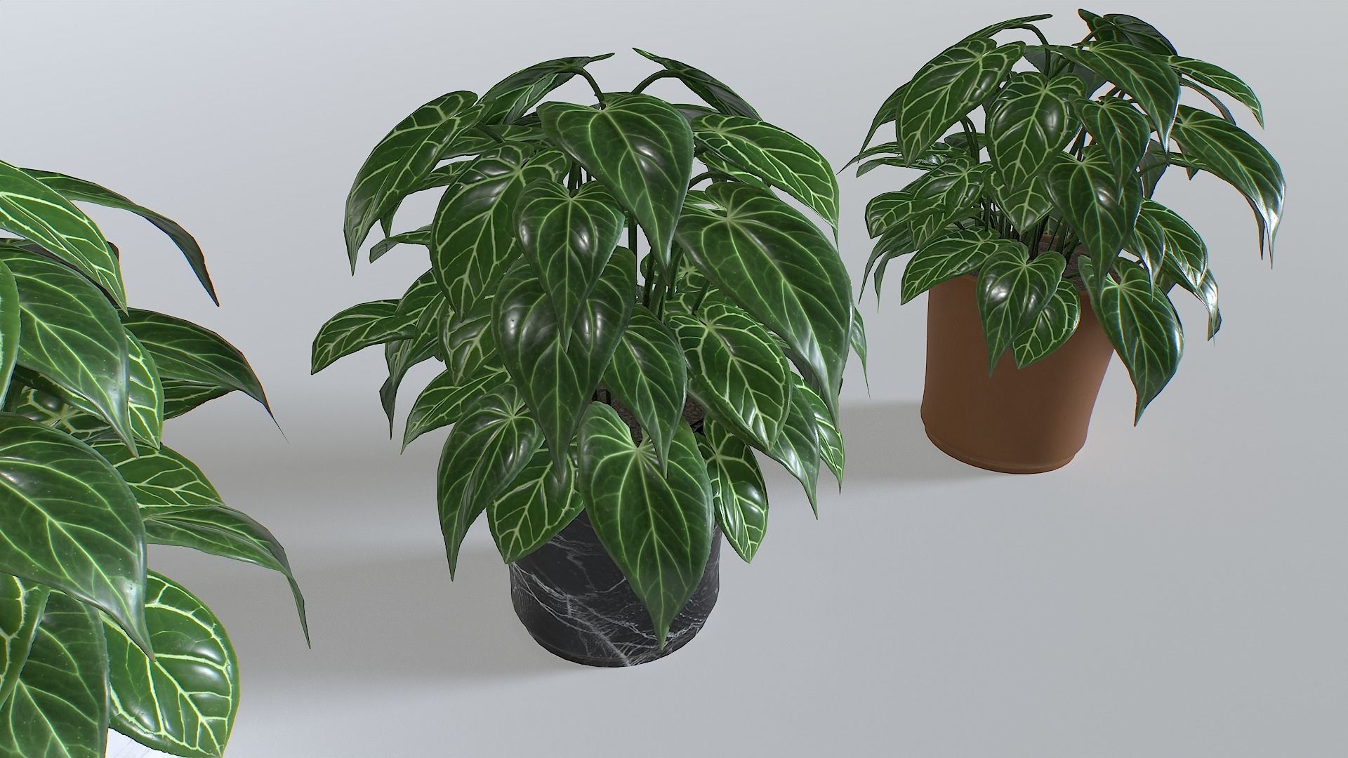Pot Tropical Plant 3 Low-poly 3D model_3