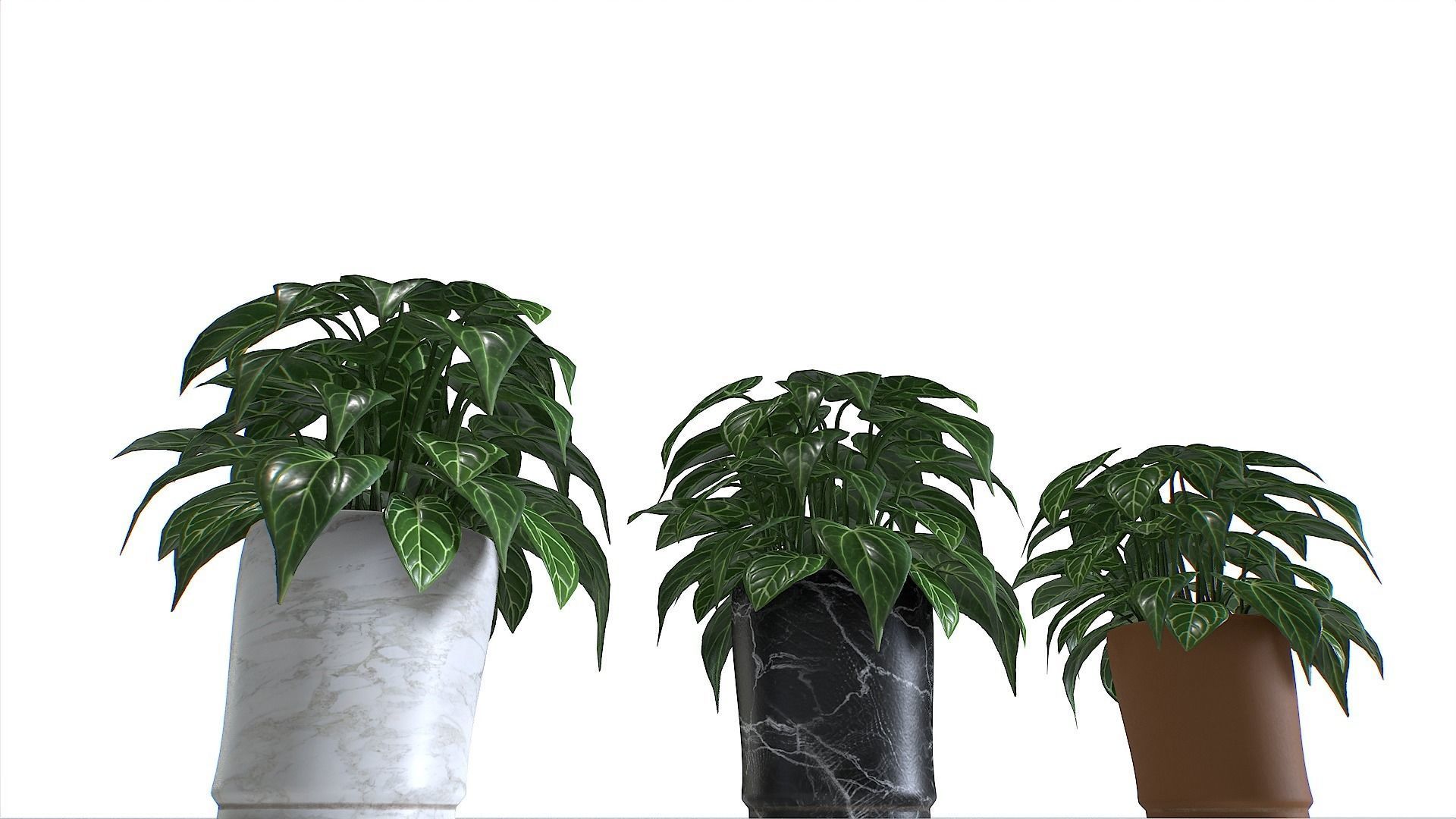 Pot Tropical Plant 3 Low-poly 3D model_6