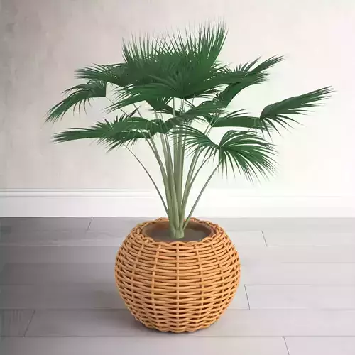 Cachepot-Rattan